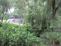 Villa Chancery (D11), Condominium #121080012